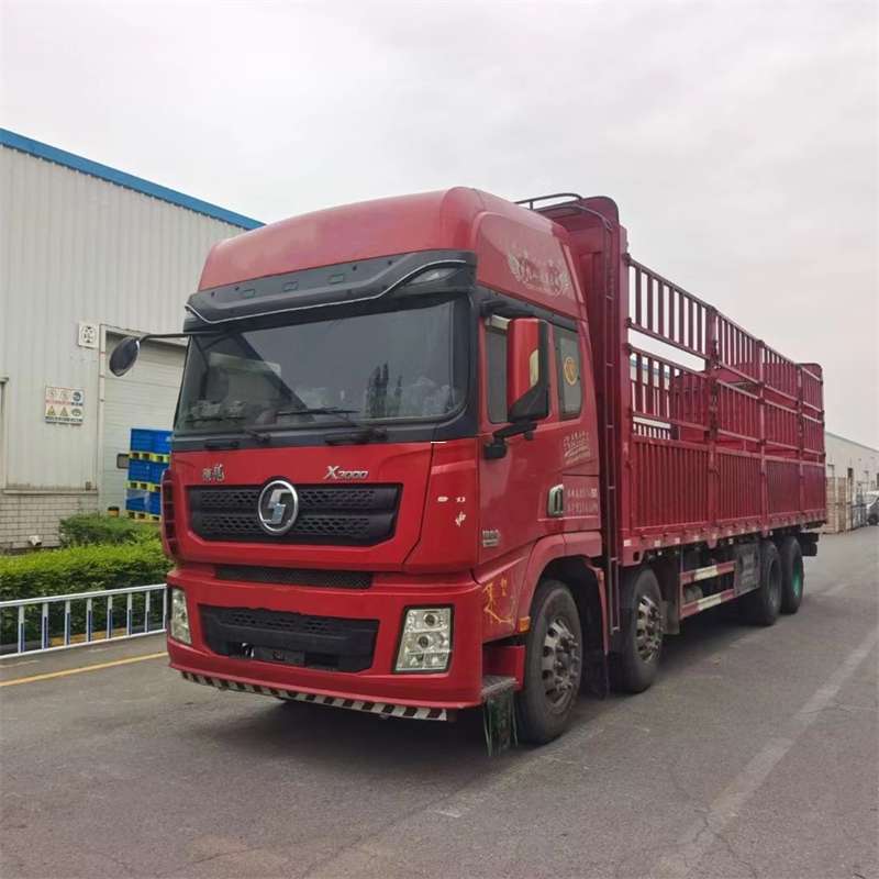 仙居县石棉县物流专线的高效运输之旅